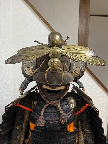 Large hornet motif maetate - large,